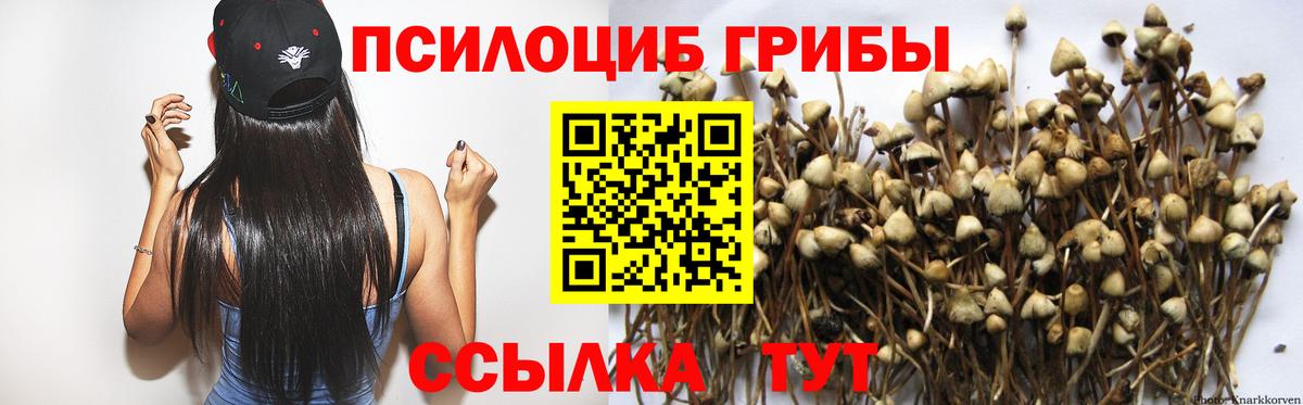 Галлюциногенные грибы Psilocybe  Вход с VPN  Конаково  Псилоцибиновые грибы Psilocybe 